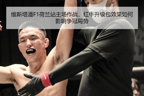 wei-si-ta-pan-he-lan-zhan-zhu-chang-zuo-zhan-hong-niu-sheng-ji-bao-xiao-guo-ru-he-ying-xiang-zheng-guan-ju-shi-3-631.jpg